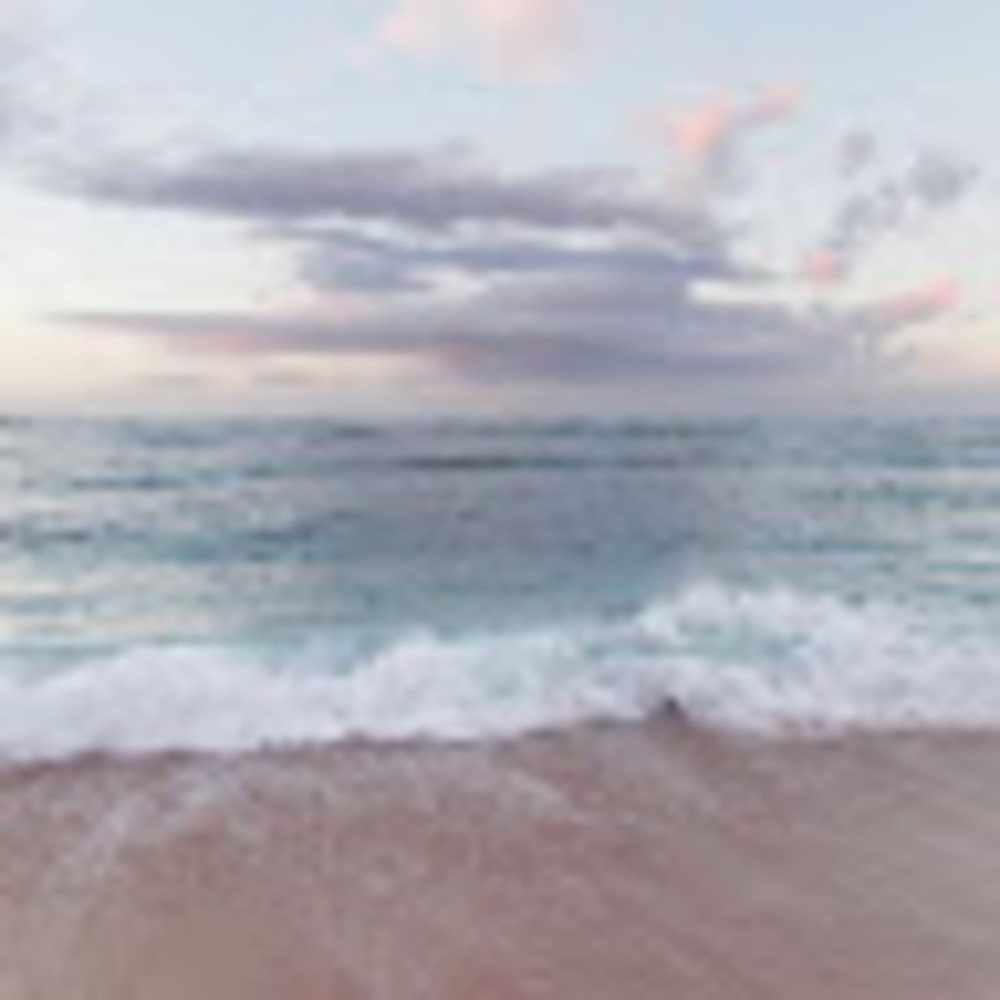 Meet your Posher, Lemon